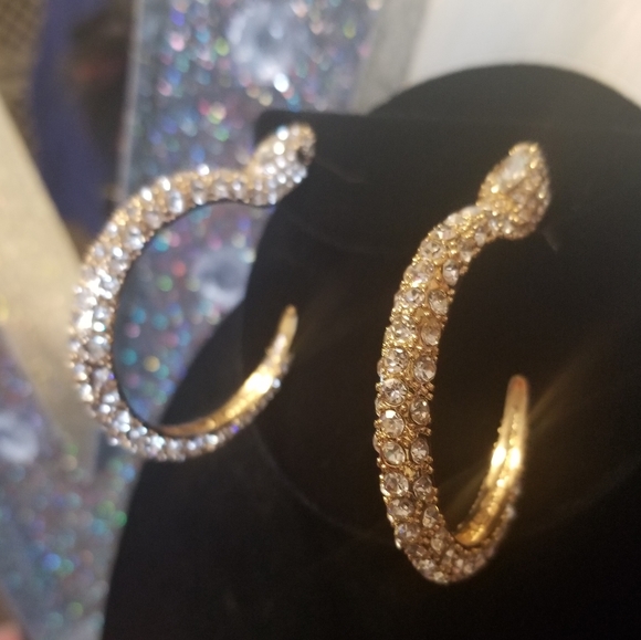 Snake Hoop Earrings - Picture 3 of 3